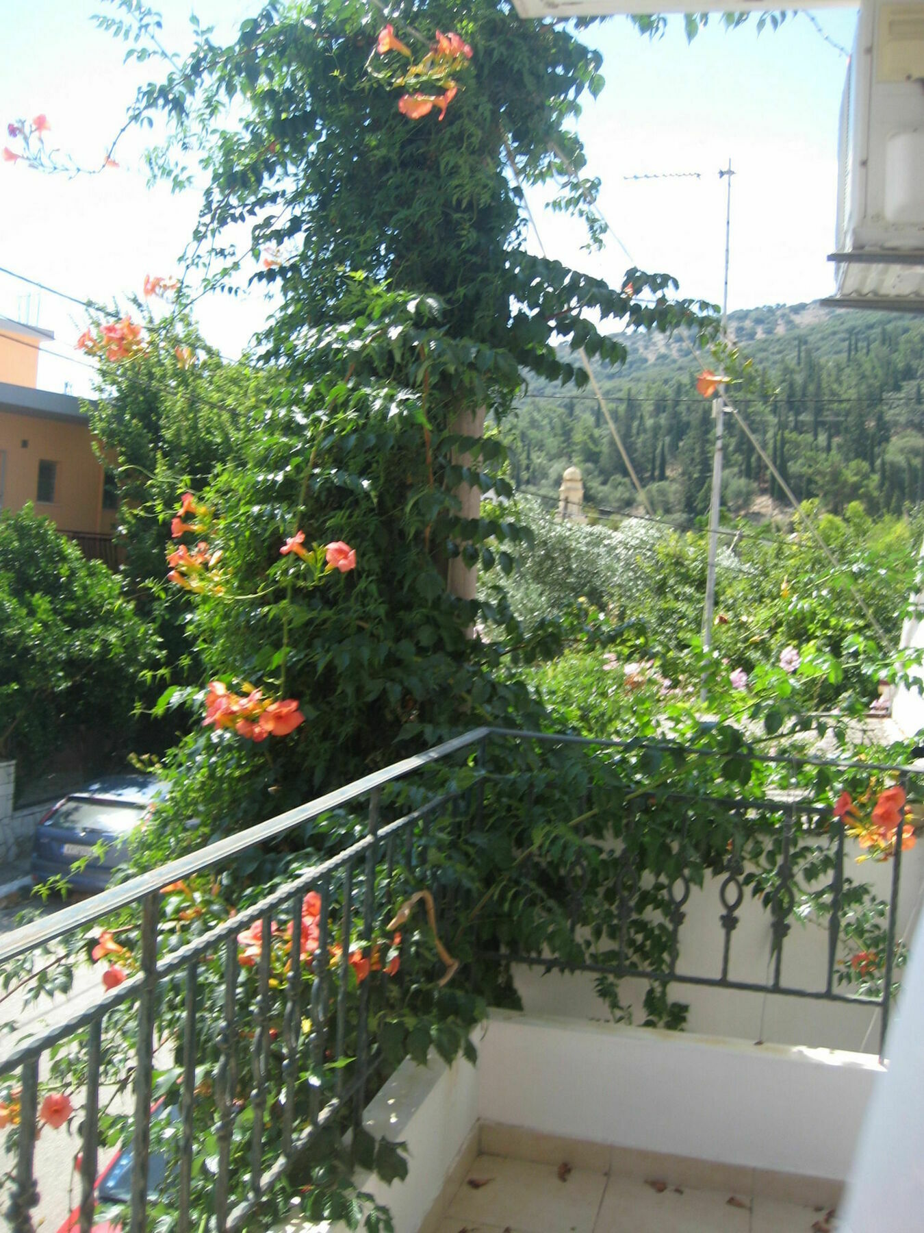 Giannos Apartments Agia Efimia 외부 사진